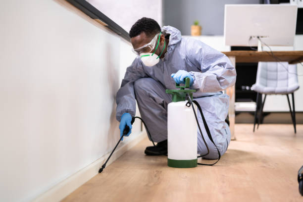 Emergency Pest Control Services in Bethel Park, PA